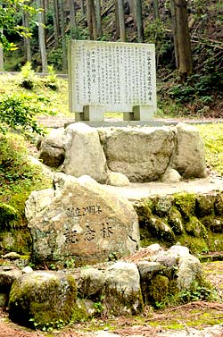 �T�J����ݗ��̎�|