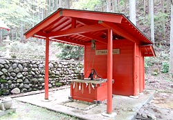 ���̈�A�T�J�单�V��