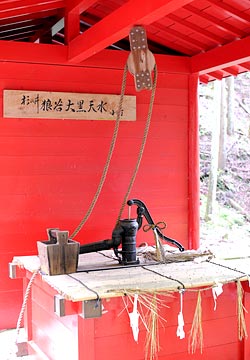 ���̈�A�T�J�单�V��